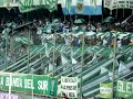 Tema Nuevo La Banda del Sur - www.notibanfield.com.ar