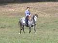Isabel 2002