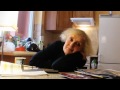 Barbara Kwarc