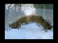 Winter in Westduinpark