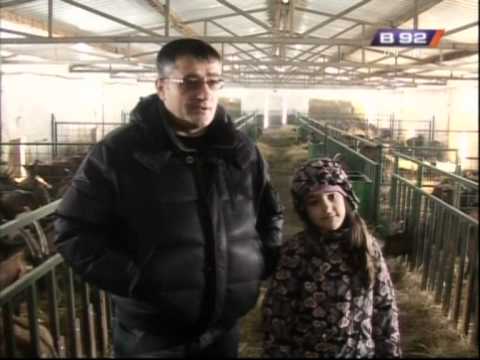 Farme+Ovaca+U+Srbiji ... koza u srbiji i novom nacinu odgoja jarica prica o najvecoj farmi koza