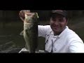 BLACK BASS - MG - BRAZIL