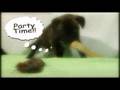 Eric Dikeb - Doggystyle