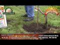 Furney's Nursery How to Plant a Fruit Tree