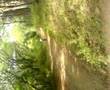 Down Hill San Ramon Costa Rica