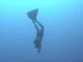 videos de DeeDee Flores freediving to 30m (100ft) in Kona