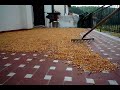 Cannons and Corn - The People\