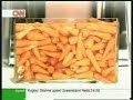 CNN Project - LEO BURNETT rebrands the carrot CNN Project - LEO BURNETT rebrands the carrot