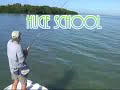 crevalle flash