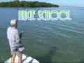 crevalle flash