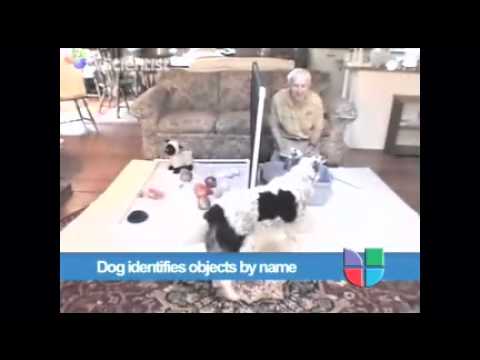 See video