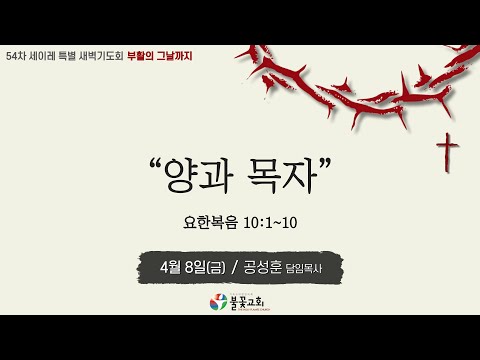 2022년 54차 세이레특별새벽기도회 12일차(4월 8일) “양과 목자”