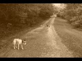 Autumn Walk