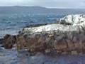 Isla de los pájaros en Ushuaia