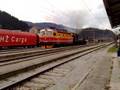 HZ 2063 003 is nailed at Moravice