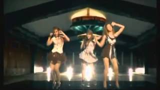 เจ้าที่แรง - บลูเบอร์รี่ อาร์ สยาม