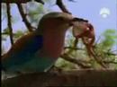 Natureza/Liberdade