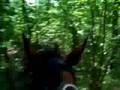Favorite Elba trail