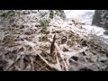 3��9���न��դμ��򤿤�.wmv:YouTube������=14��