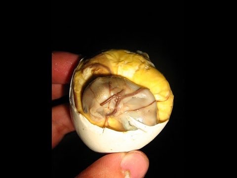 how to fertilized duck eggs
