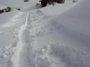 Starting a sled run