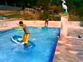 biel surfando