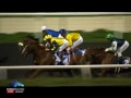 $200,000 Firebreak Stakes, SANDAGIYR, Feb. 9