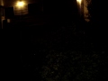 Hanet ft. Bush1 Hanet ft. Bush1