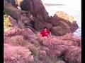 Phuket agains
