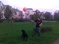 Corso Jump Corso Jump