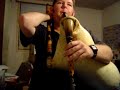 Macedonian Gajda - How to play \