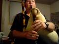 Macedonian Gajda - How to play 'Crnagorka'