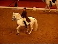 Piaffe and levade, under saddle Piaffe and levade, under saddle