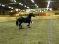 videos de MVI 1304