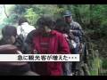 天岩戸伝説が残る天岩戸神社