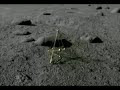 NASA\
