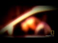 The AFO guns down a rival cartel's leader, only to find they've made an ungodly mistake. Inside: Chinatown Mafia : channel.nationalgeographic.com ... 4551 