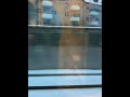 Snowy commute on the tram, Stockholm, Sweden.