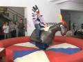 videos de Pete Chadwick - Wunderman rodeo