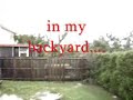 Hurricane Wilma - Backyard Hurricane Wilma - Backyard
