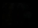 Trailer Volume Uno
