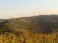 Restaurant in Chianti Region of Italy
