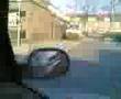 Live Botsing YeR6