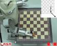 New Scientist video round-up - December 21, 2007