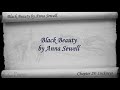 Chapter 29 - Black Beauty by Anna Sewell