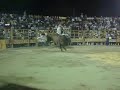 el amortiguador
