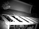 the first of 4 (so far) stealth game-camera videos (so far) of the world's smartest raccoons --