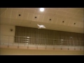 New Concept Ornithopters New Concept Ornithopters