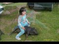 cochon nain montage