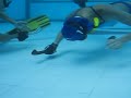hockey sub cardumen